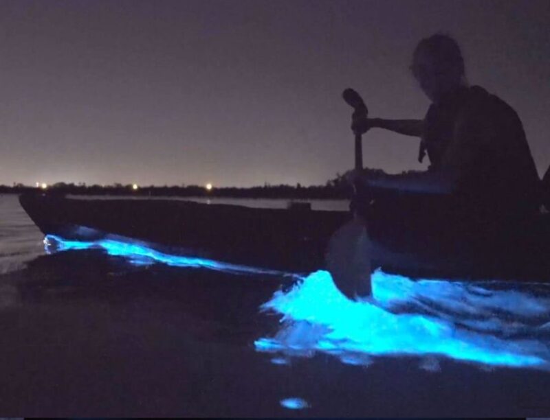Orlando: Bioluminescence Clear Kayaking or Paddleboarding - Physical Requirements and Weather Considerations