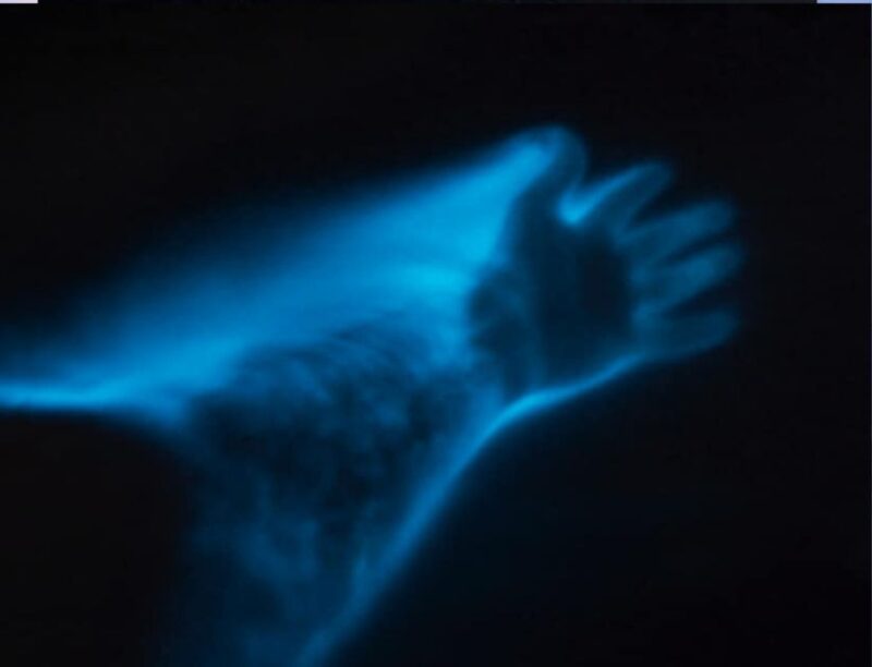 Orlando: Bioluminescence Clear Kayaking or Paddleboarding - Practical Tips for a Great Experience