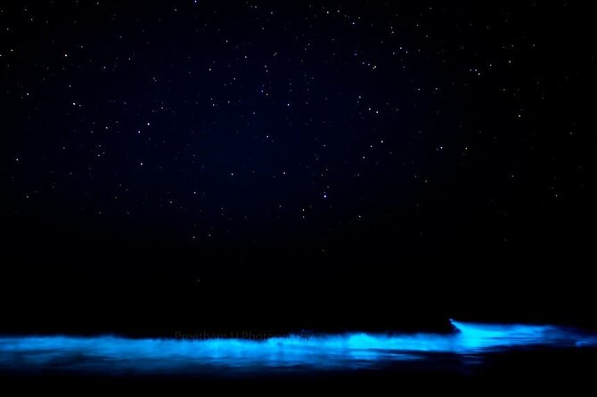 Orlando Bioluminescence Kayak Adventure - The Guides and Their Knowledge