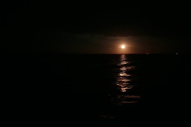 Orlando Bioluminescence Kayak Adventure - Physical Requirements and Safety Considerations