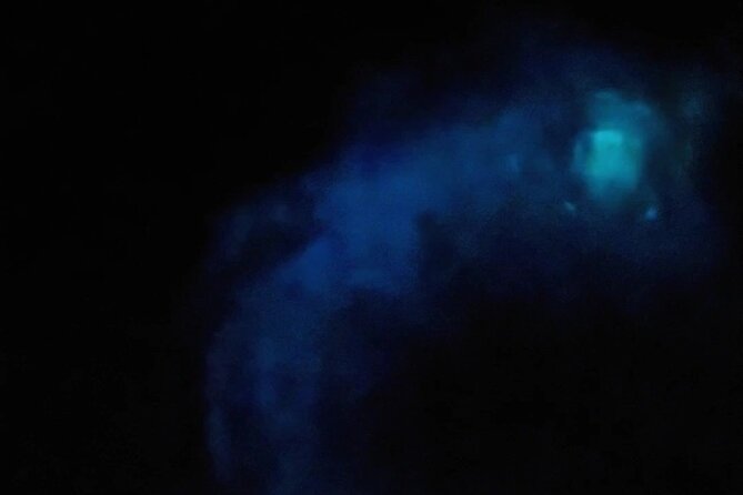 Orlando Bioluminescence Kayak Adventure - Final Thoughts on the Orlando Bioluminescence Kayak Adventure