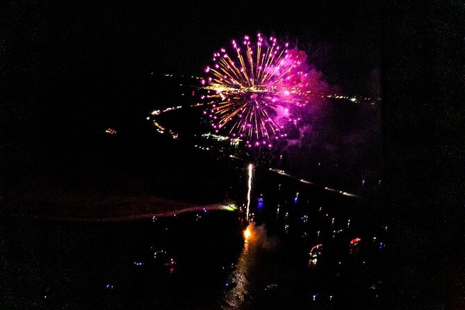 Orlando City Lights and Fireworks Premier Helicopter Tour - Logistics and Group Size