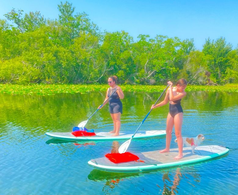 Orlando: Clear Kayak and Paddleboard 2-Hour Rental - What Makes Lake Ivanhoe a Unique Paddling Spot