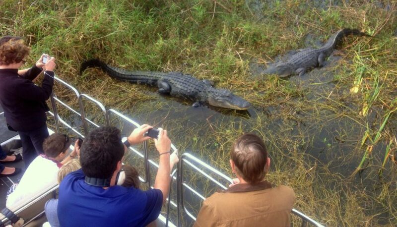 Orlando: Everglades Airboat Ride and Wildlife Park Ticket - Guides and Tour Experience
