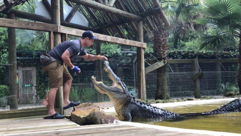 Orlando: Everglades Airboat Ride and Wildlife Park Ticket - Value for Money and Additional Amenities