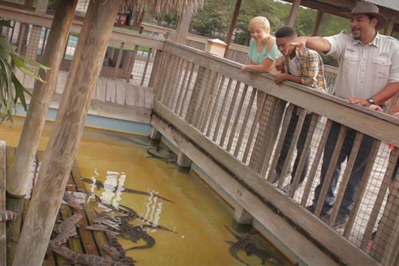Orlando: Gatorland Interactive Tour with Animal Trainer - Behind-the-Scenes Access to Larger Alligators and Crocodiles
