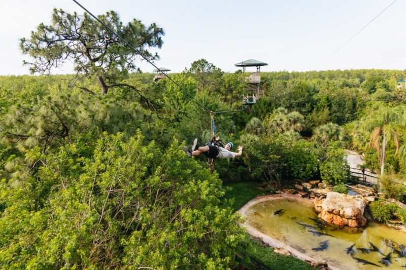 Orlando: Gatorland Skip-the-Line Ticket - Practical Tips for Visiting Gatorland