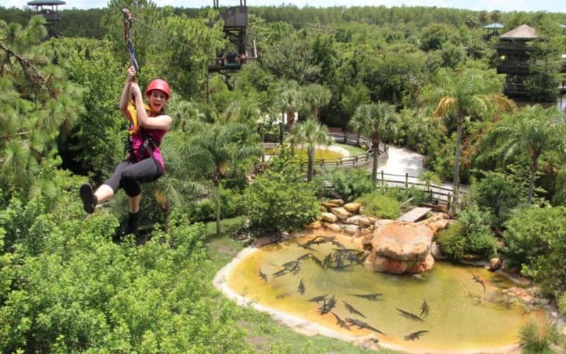 Orlando: Gatorland Zipline Adventure w/ Full-Day Park Access - Gatorlands Prime Location for Adventure and Wildlife