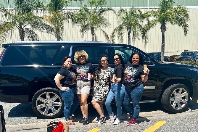 Orlando International Airport Transfers w/ Private Van - How the Private Van Service Ensures a Comfortable Ride