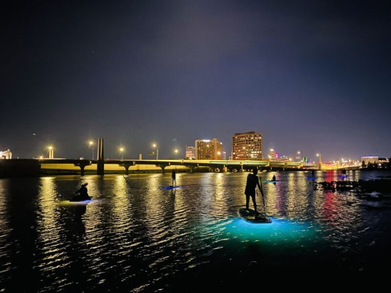Orlando: LED Night Glow Clear Kayak or Paddleboard Tour - Guided Experience and Safety Protocols