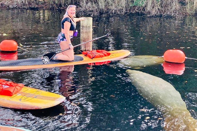 Orlando Manatee and Natural Spring Adventure Tour at Blue Springs - Key Points