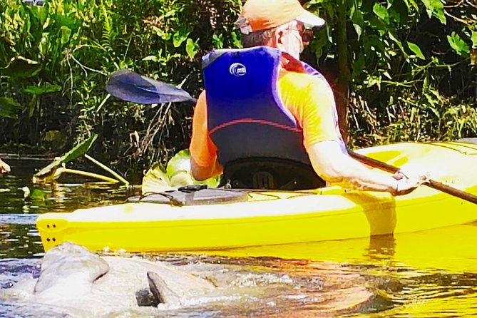 Orlando Manatee Encounters - Easy Booking and Convenient Location in Orange City