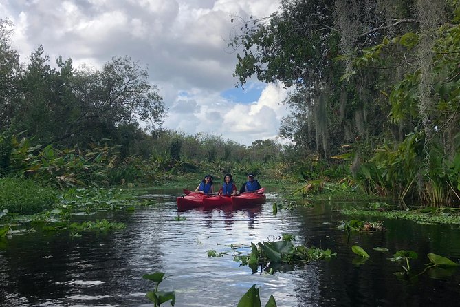 Orlando Manatee Encounters - Wildlife Encounters Beyond Manatees