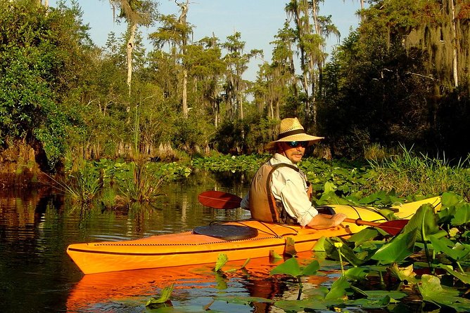 Orlando Manatee Encounters - Suitable for Novice Kayakers and All Skill Levels