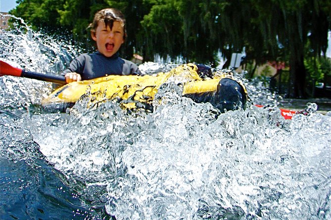 Orlando Manatee Encounters - Expert Guides and Personal Service
