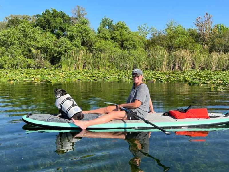Orlando: Paddle with Pups in Paradise - Paddleboard or Kayak - Learning to Paddle in a Relaxed, Supportive Environment