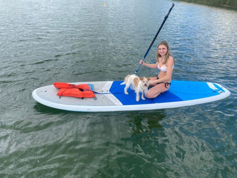 Orlando: Paddle with Pups in Paradise - Paddleboard or Kayak - Who Will Enjoy This Paddling Tour Most?