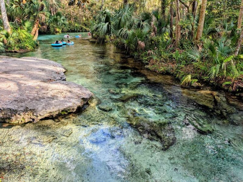 Orlando: Rock Springs Tubing & Apopka Wildlife Trail Tour - Tubing Down the Crystal-Clear Rock Springs Run