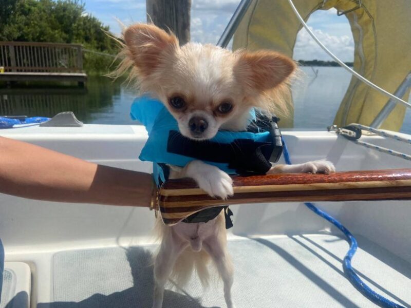 Orlando: Sailing Tour with Certified Sailing Instructor - Sunset Cruises and Relaxing Vibes