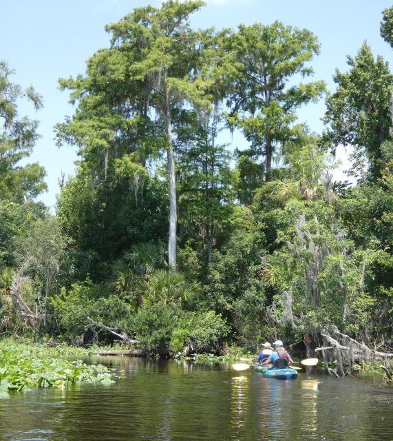 Orlando: Small Group Scenic Wekiva River Kayak Tour - Navigating the Wekiva River’s Crystal Clear Waters