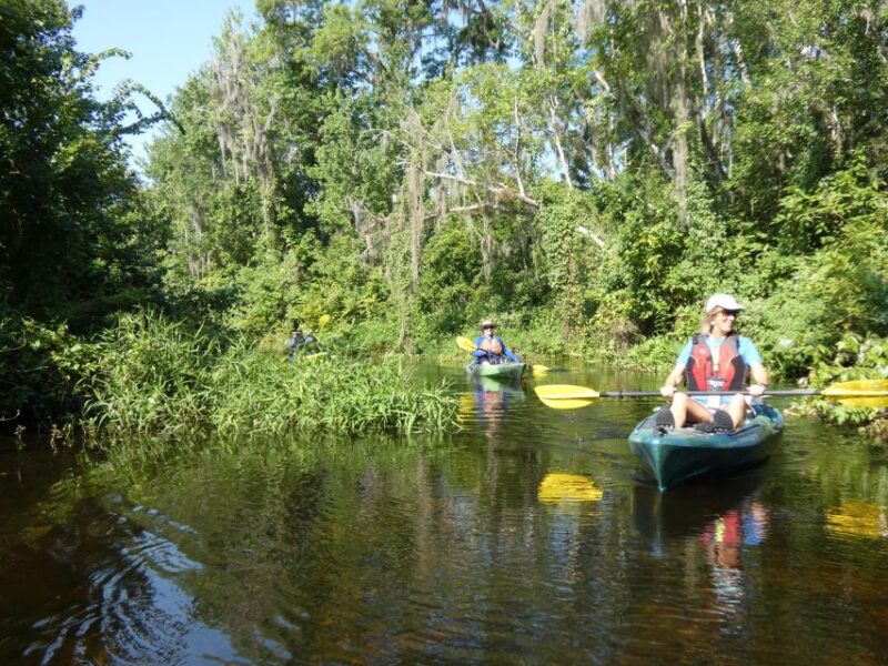 Orlando: Small Group Scenic Wekiva River Kayak Tour - What’s Included in Your Kayaking Adventure