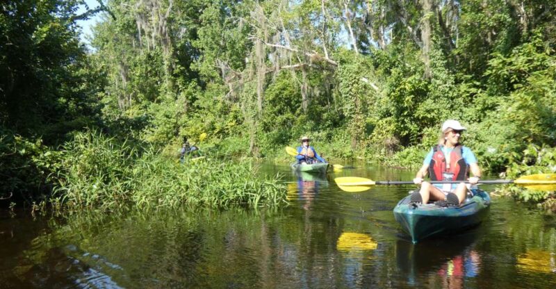 Orlando: Small Group Scenic Wekiva River Kayak Tour - Flexibility and Booking Policies for Peace of Mind