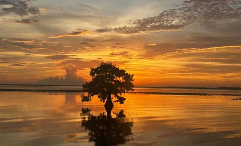 Orlando Sunset Airboat Tour w/ Alligator & Wildlife Viewing - An Exciting Sunset Airboat Ride in Florida with Wildlife Viewing