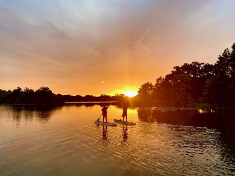 Orlando: Sunset Clear Kayak or Paddleboard in Paradise Tour - Why Choose This Orlando Sunset Paddle Tour