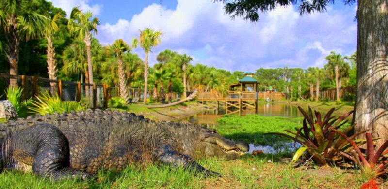Orlando: Wild Florida Park Ticket and Gator Shows - Wild Florida Wildlife Park: Native Animals and Exotic Encounters