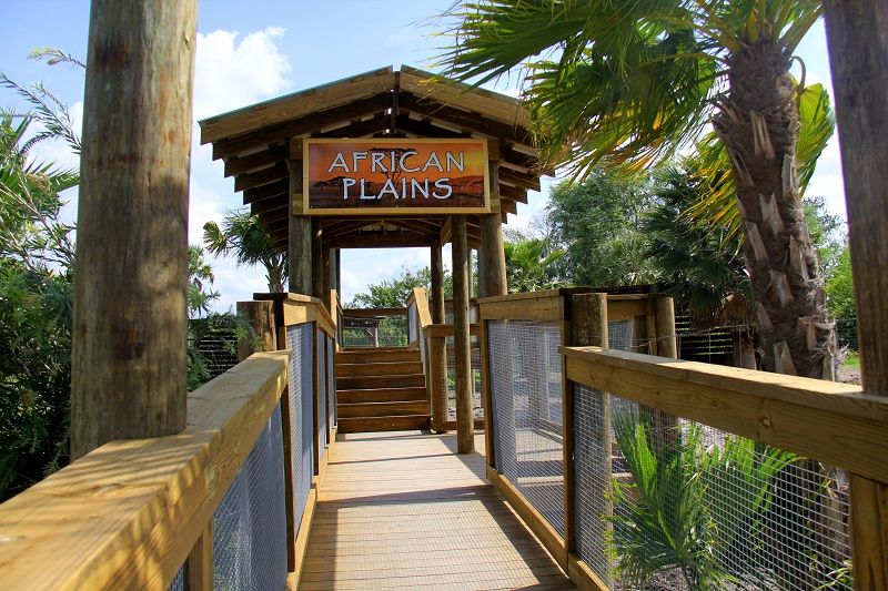 Orlando: Wild Florida Park Ticket and Gator Shows - Scenic Walks through Cypress Swamp and Wetlands