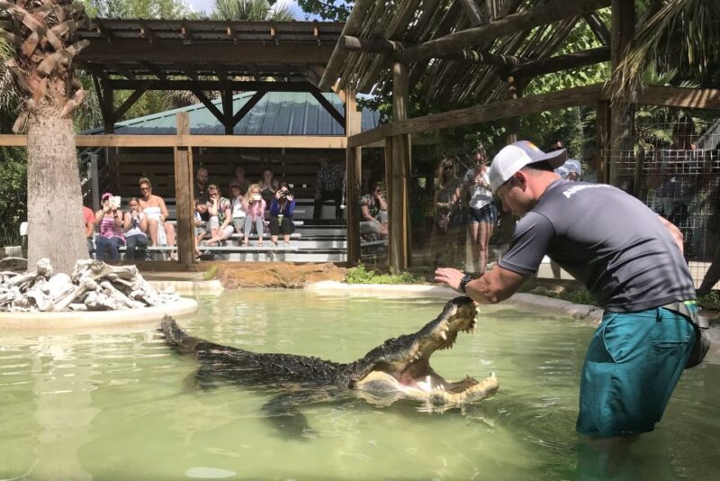 Orlando: Wild Florida Park Ticket and Gator Shows - Tasting the Flavors of Florida at the Park’s BBQ