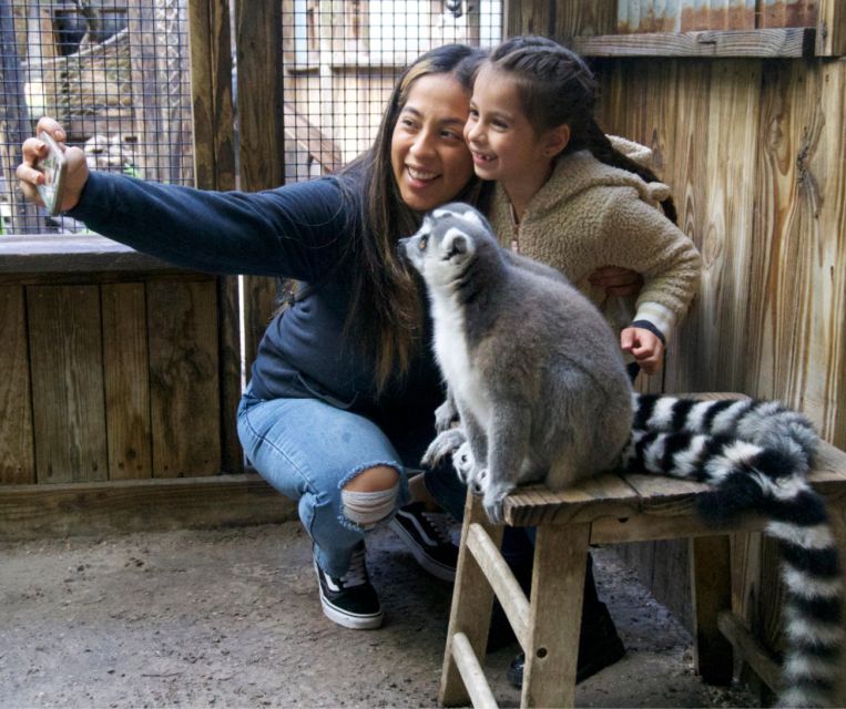 Orlando: Wild Florida Park Ticket and Gator Shows - Frequently Asked Questions