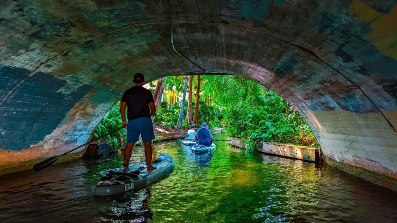 Orlando: Winter Park Paddle Adventure - Explore Winter Parks Lakes and Mansions with Paddle Boarding
