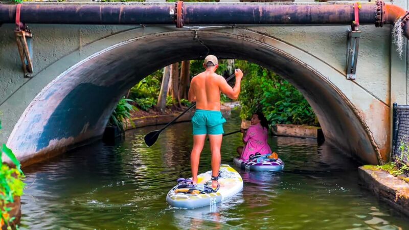 Orlando: Winter Park Paddle Adventure - Physical Requirements and Accessibility