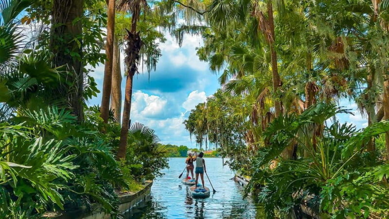 Orlando: Winter Park Paddle Adventure - Who Will Enjoy the Winter Park Paddle Adventure?