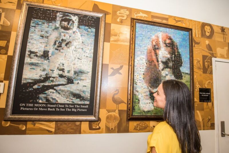 Orlando: WonderWorks Nighttime Entry Ticket - Additional Options: Kid-Friendly and Arcade Experiences