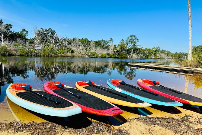 Ormond Beach Manatee and Nature Tour Kayaking or Paddle Boarding - Highlights of the Tomoka River and Manatee Sanctuary