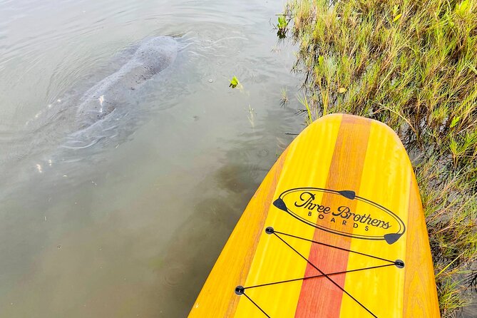 Ormond Beach Manatee and Nature Tour Kayaking or Paddle Boarding - Potential Drawbacks and Considerations