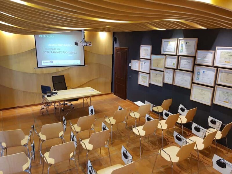 "Oro Bailén": Explore the Oil Mill + Tasting - Tasting the Best Extra Virgin Olive Oils