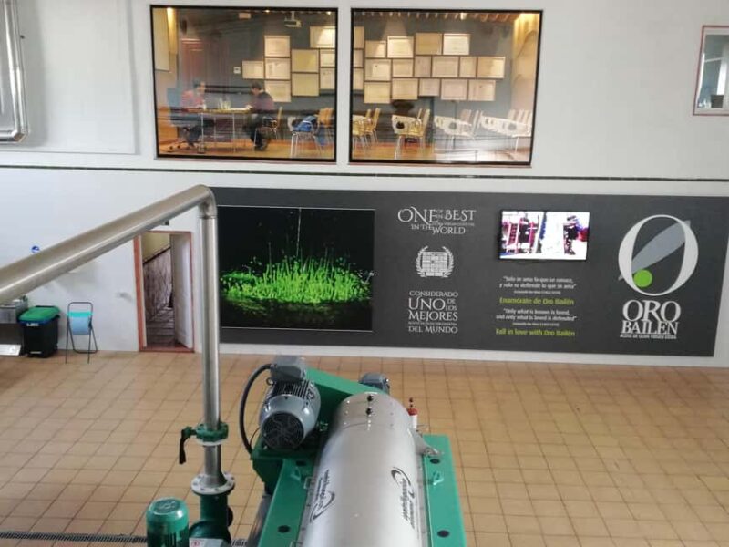 "Oro Bailén": Explore the Oil Mill + Tasting - Meet the Guides and Language Options