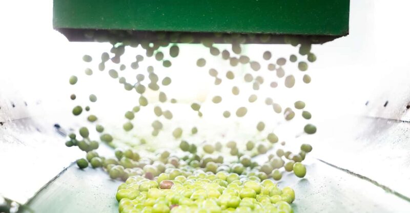 "Oro Bailén": Tour of Oro Bailen Grove + Mill + Tasting - Experience the Complete Olive Oil Production at Oro Bailén for $27