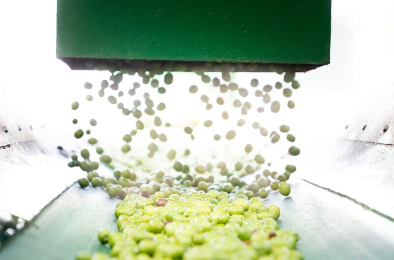 "Oro Bailén": Tour of Oro Bailen Grove + Mill + Tasting - Key Points