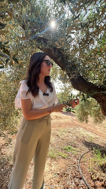 "Oro Bailén": Tour of Oro Bailen Grove + Mill + Tasting - From the Grove to the Mill: The Processing Journey