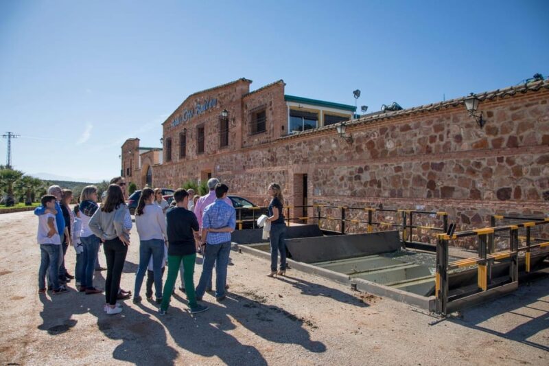 "Oro Bailén": Tour of Oro Bailen Grove + Mill + Tasting - The Olive Oil Tasting Experience