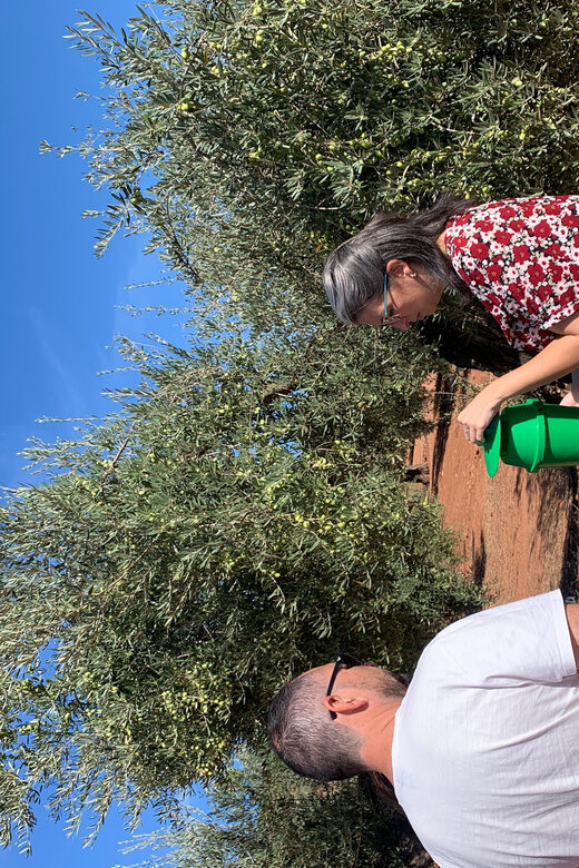 "Oro Bailén": Tour of Oro Bailen Grove + Mill + Tasting - Who Will Appreciate This Tour the Most?