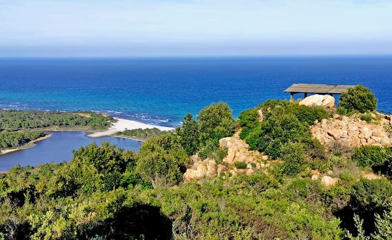 Orosei: 4x4 Tour Oasi di Biderosa and Capo Comino Beach - The Value and Overall Experience