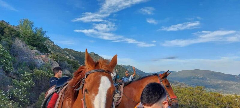Orosei: horse riding on the beach - Sunset and Sunrise Departures: When to Book