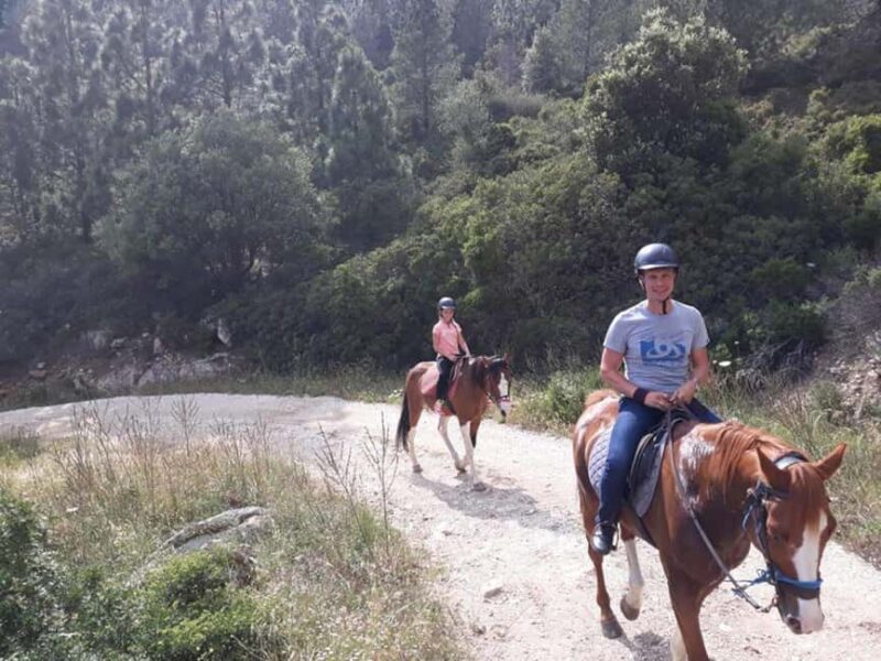 Orosei: horse riding on the beach - Suitable for All Skill Levels and Small Group Dynamics