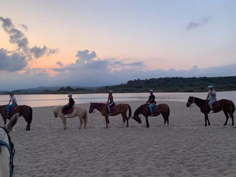 Orosei: horse riding on the beach - Practical Tips for Making the Most of Your Ride