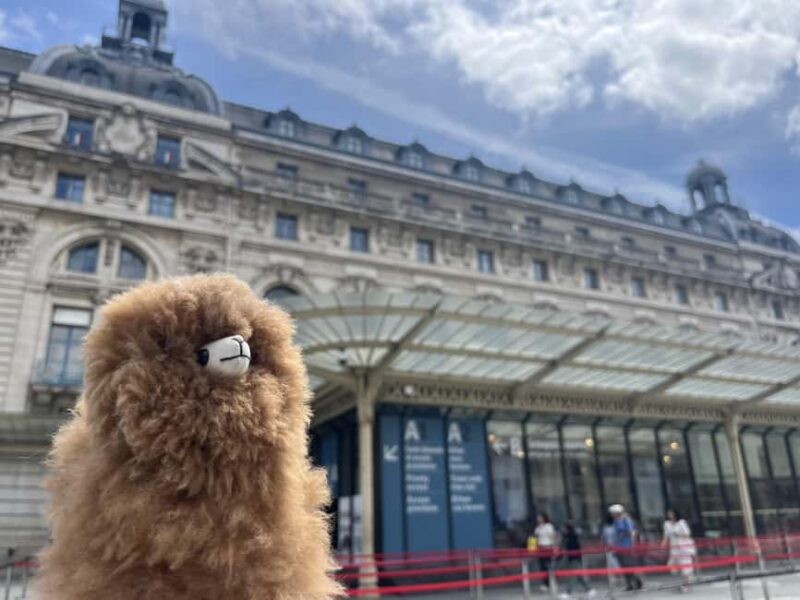 Orsay Museum: Museum Ticket Entry & 2h Private Guided Tour - Meeting Point and Practical Details